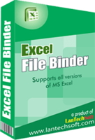 1 excel file binder