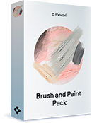 Brush and paint pack en