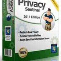 Privacysentinel 2012