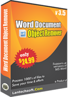 Word object remover